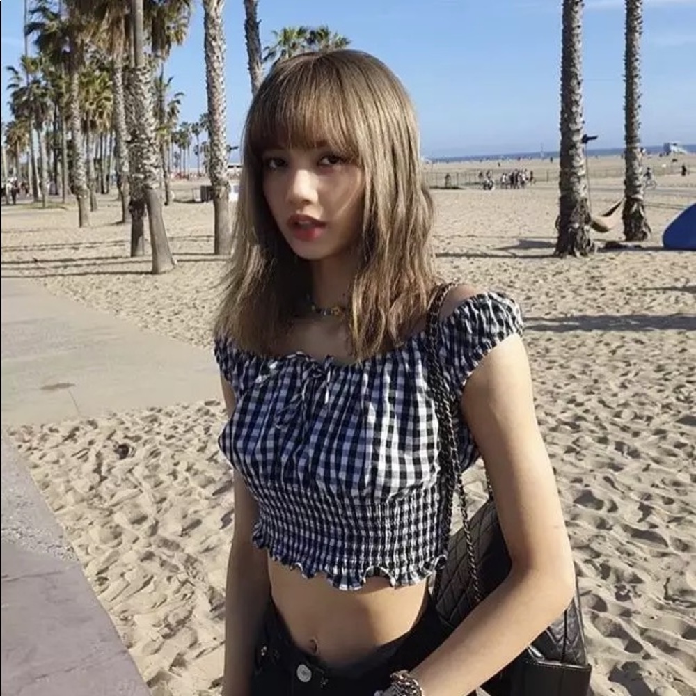 Brandy Melville Black & White Gingham Smocked Crop Top